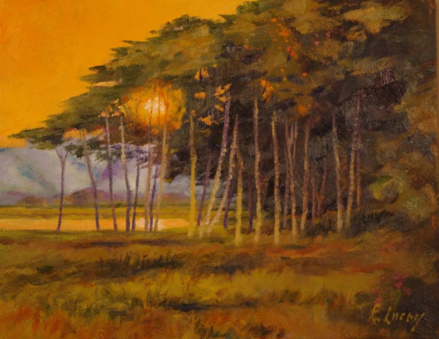 XL Photography 3 アートコレクション XL Photography 2/Art